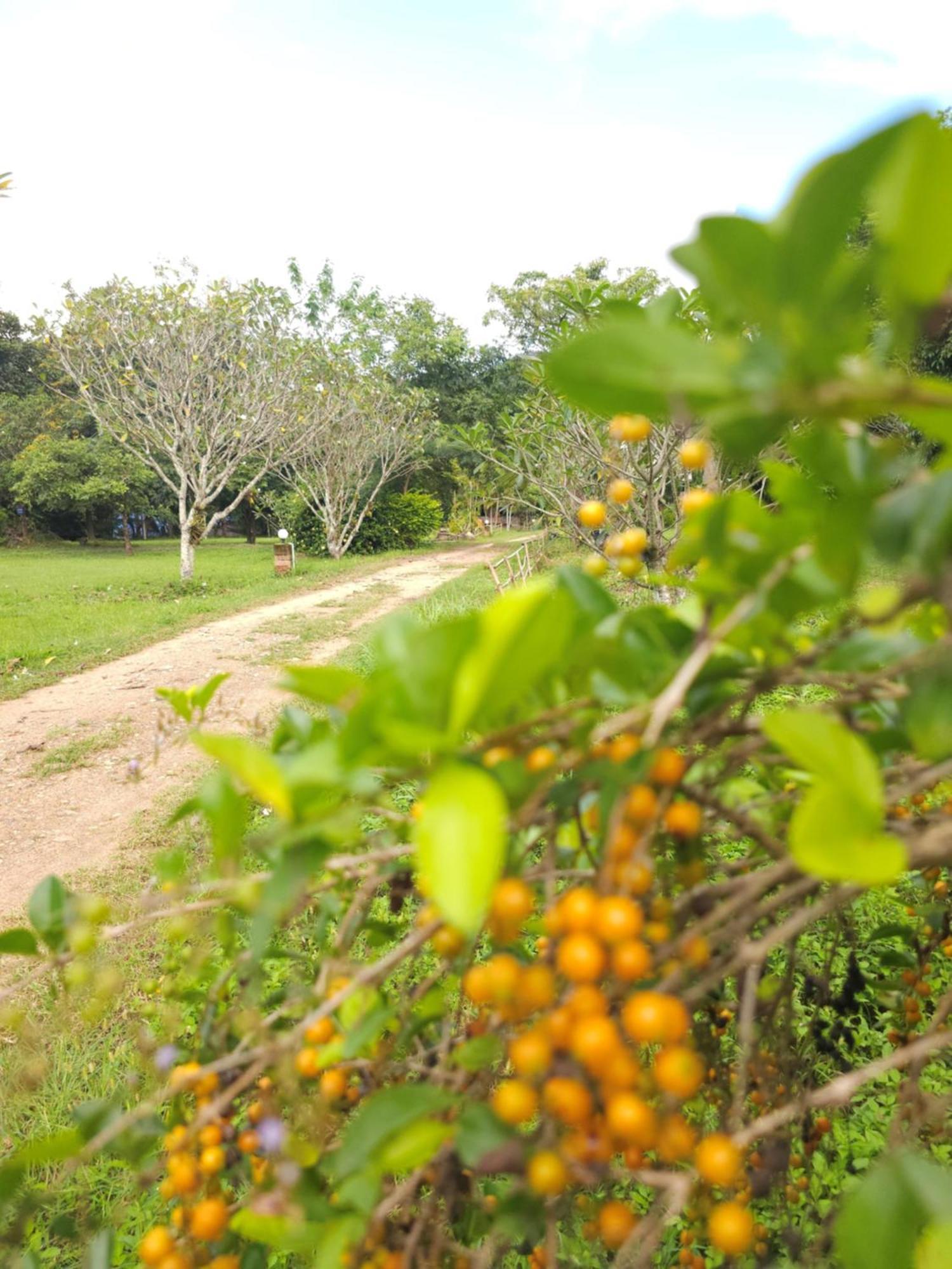 Pai Kiniman Resort Exterior photo